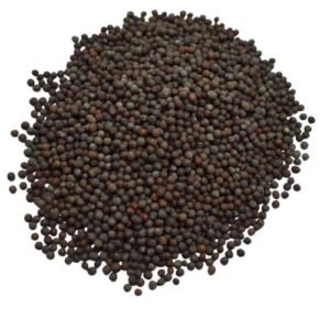 Sarso kali 100G