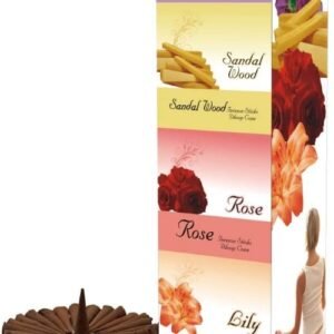 Dev Darshan Cone 12 pcs set