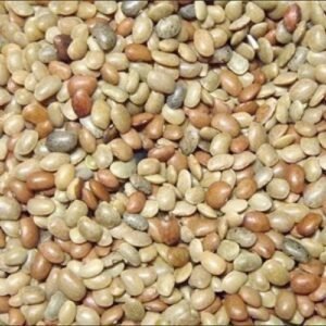 Kulthi 1KG