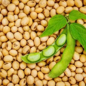 Soyabean 1KG