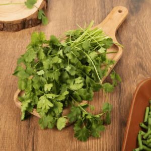 Coriander Bunch (Dhaniya Patta)