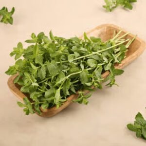 Mint Leaves (Pudina) BUNCH