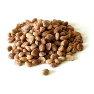 Chironji 100G